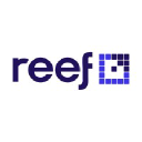 Reef Digital agency reviews.