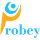 Probey Services agency reviews.