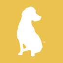 YellowDog agency reviews.