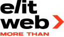 Elit Web agency reviews.