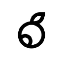 Bilberrry agency reviews.